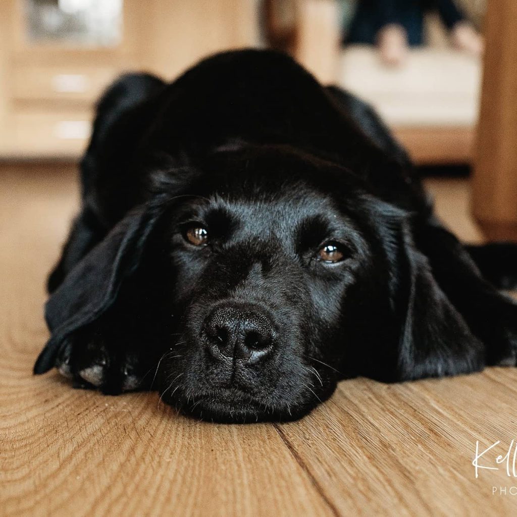 Minu pere ja kodu lood by Trevor Paltser - Illustrated by Trevor Paltser - Ourboox.com