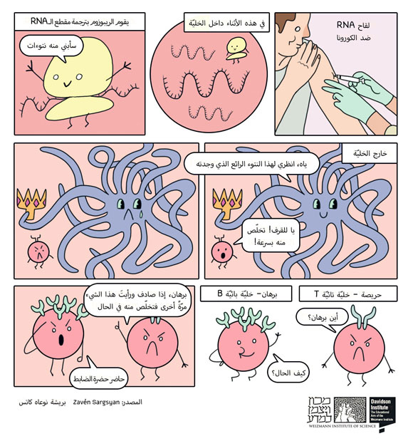 لقاح mRNA by Tasneem - Illustrated by تسنيم حنيني - Ourboox.com