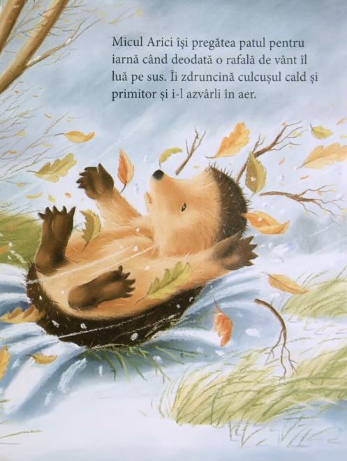 POVESTE DE IARNĂ by Abi Iuli - Ourboox.com