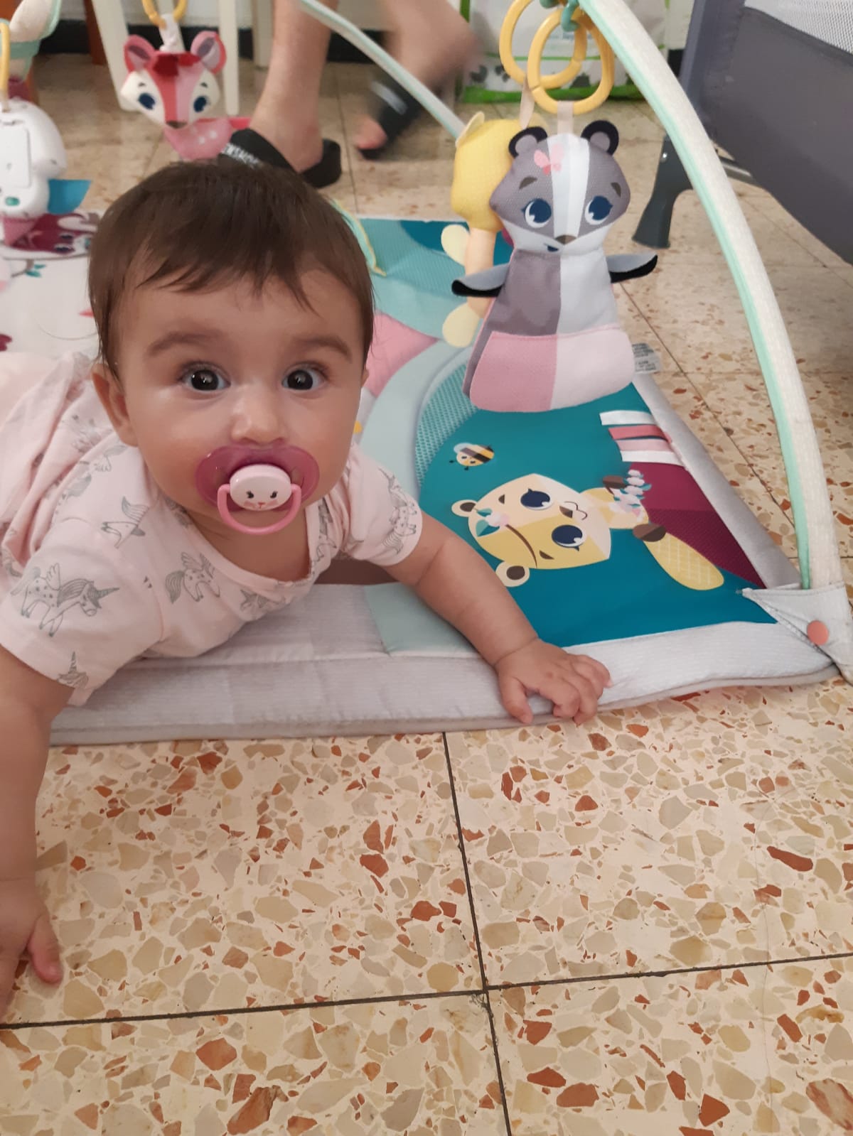 אלבום התמונות של שיר by sharon - Ourboox.com