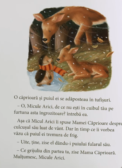 POVESTE DE IARNĂ by Abi Iuli - Ourboox.com