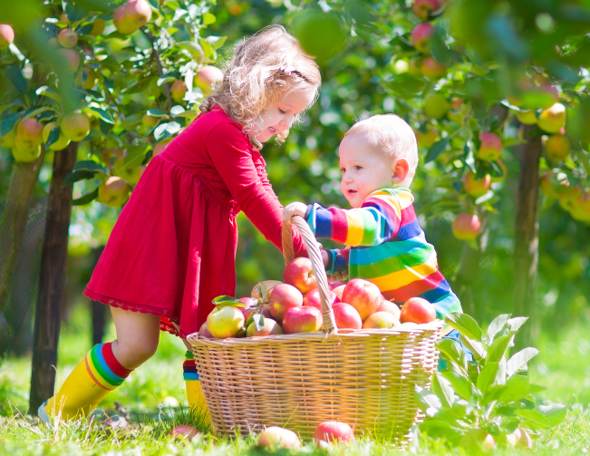 התפוח האדום by lama nakhash - Ourboox.com