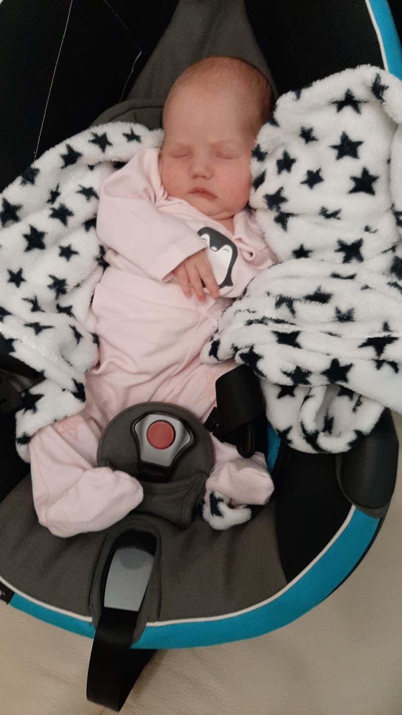 מי אתם משפחת חקשור? by Moran shalem - Ourboox.com