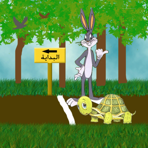 הצב והארנבת by hagar knany - Ourboox.com