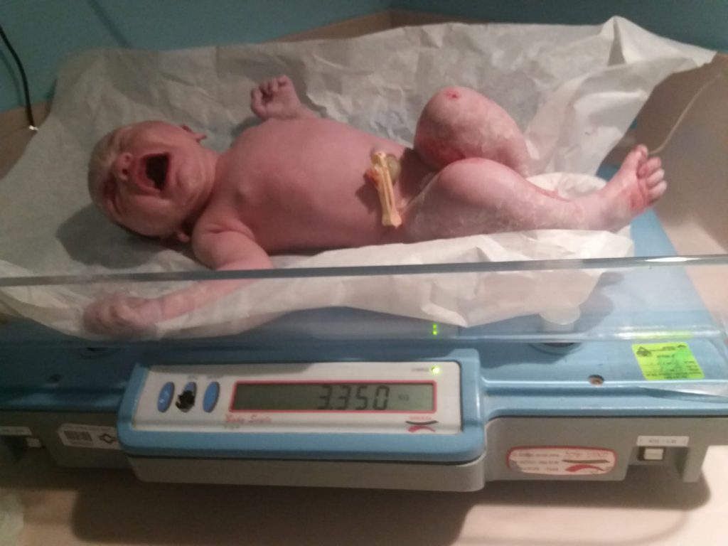 אלבום התמונות של שיר by sharon - Ourboox.com