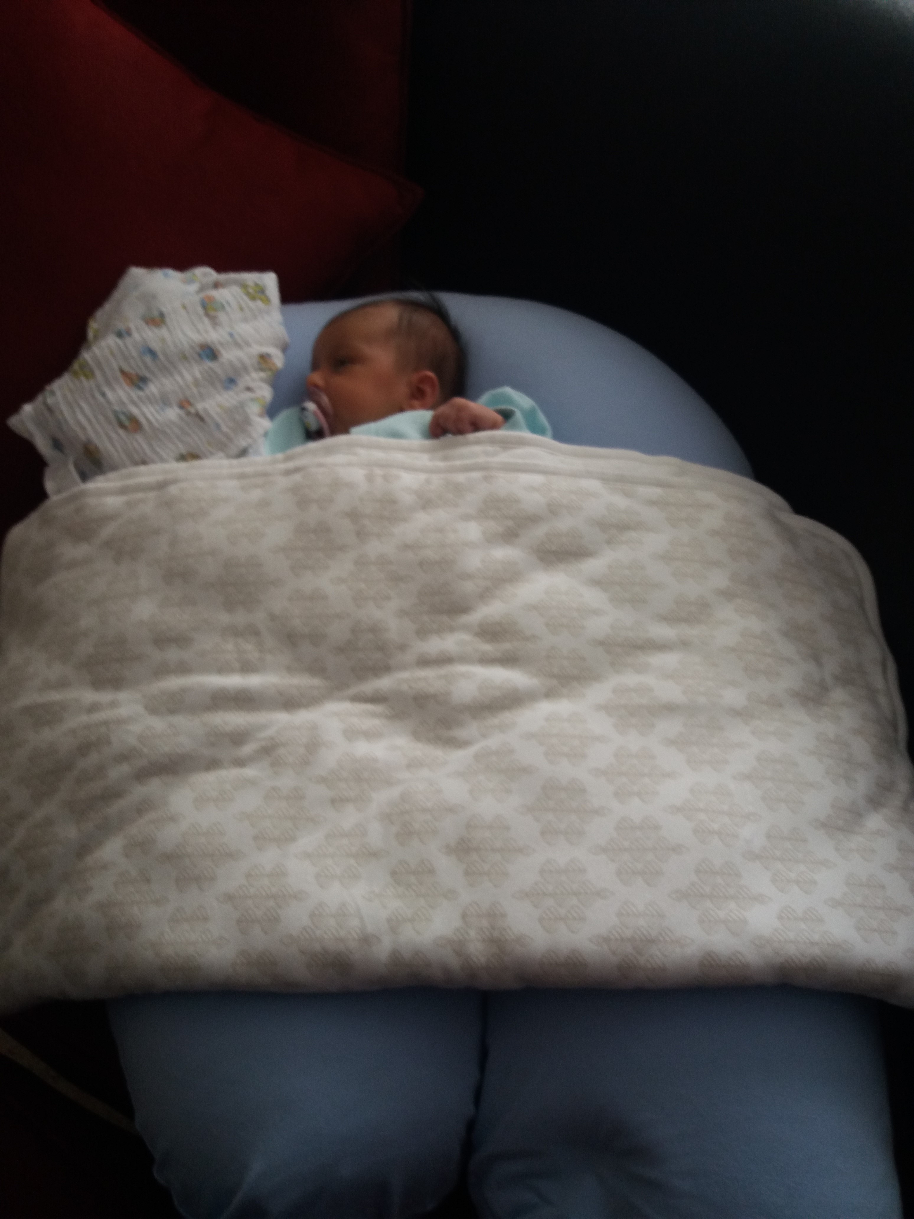 אלבום התמונות של שיר by sharon - Ourboox.com