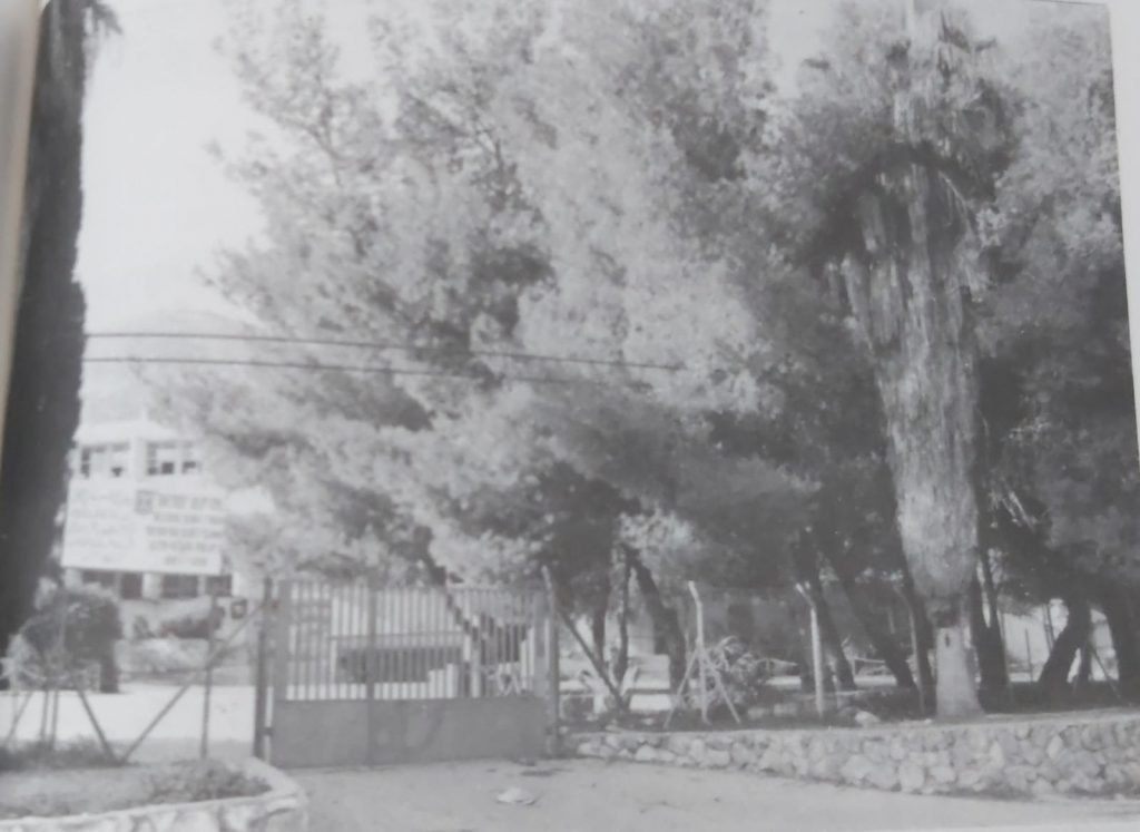 الرامة by Yara Hanna - Ourboox.com