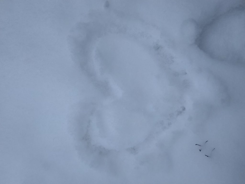 Climate and my life, 10th R LMF