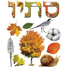 עונות השנה by fghjk - Illustrated by מרים עאסלה - Ourboox.com