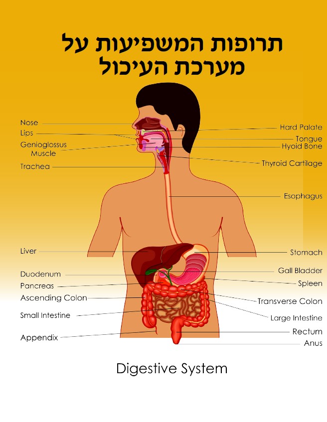 WTJDFJ by ELAZAR - Ourboox.com