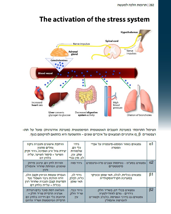 תרופות הלכה למעשה – מדריך תרופות מקצועי לסטודנטים מתמחים ולסגל סיעודי ורפואי by ELAZAR - Illustrated by אלעזר ויטנברג - Ourboox.com