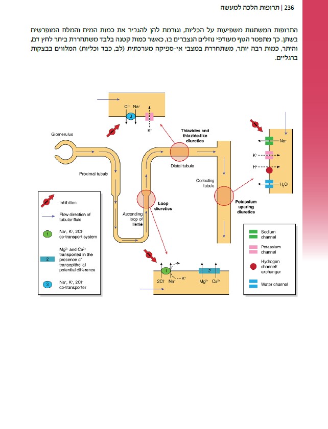 תרופות הלכה למעשה – מדריך תרופות מקצועי לסטודנטים מתמחים ולסגל סיעודי ורפואי by ELAZAR - Illustrated by אלעזר ויטנברג - Ourboox.com