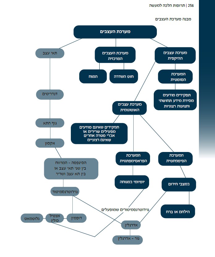 תרופות הלכה למעשה – מדריך תרופות מקצועי לסטודנטים מתמחים ולסגל סיעודי ורפואי by ELAZAR - Illustrated by אלעזר ויטנברג - Ourboox.com