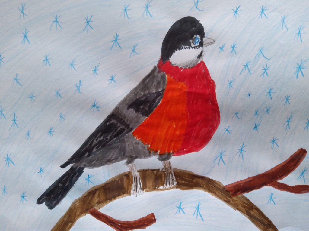 Lietuvos paukščiai by Gražina - Illustrated by 2a klasė - Ourboox.com