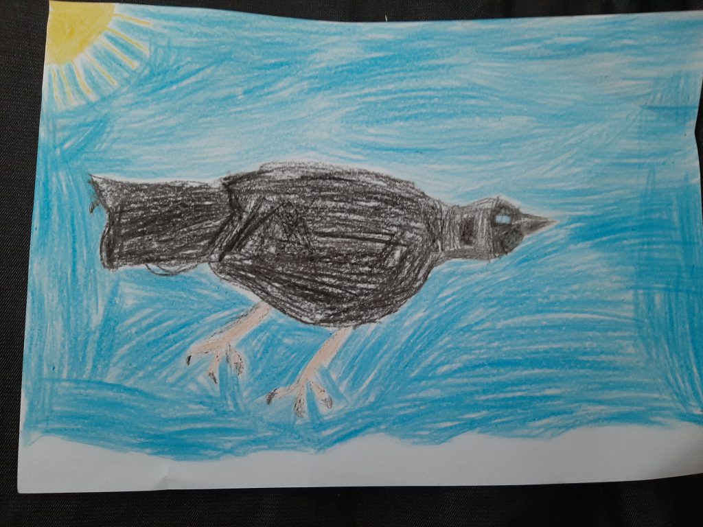 Lietuvos paukščiai by Gražina - Illustrated by 2a klasė - Ourboox.com