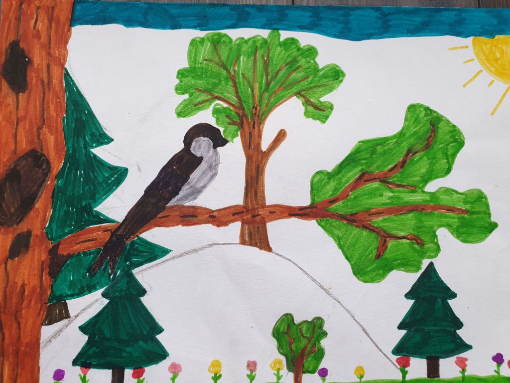 Lietuvos paukščiai by Gražina - Illustrated by 2a klasė - Ourboox.com