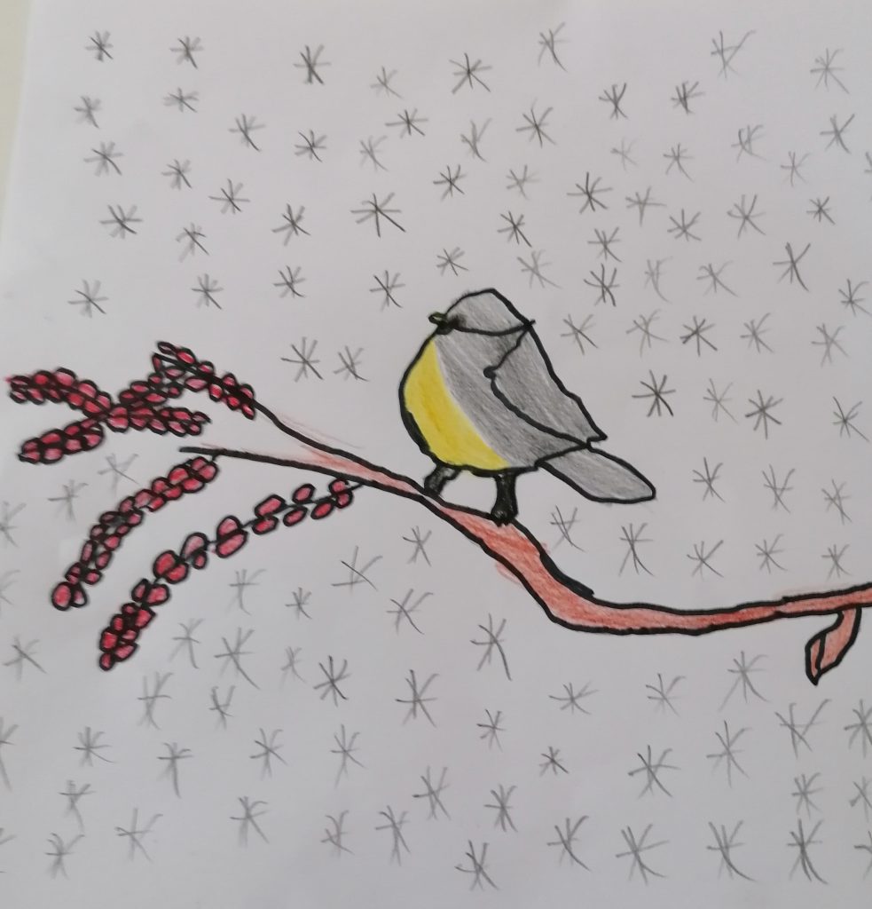 Lietuvos paukščiai by Gražina - Illustrated by 2a klasė - Ourboox.com