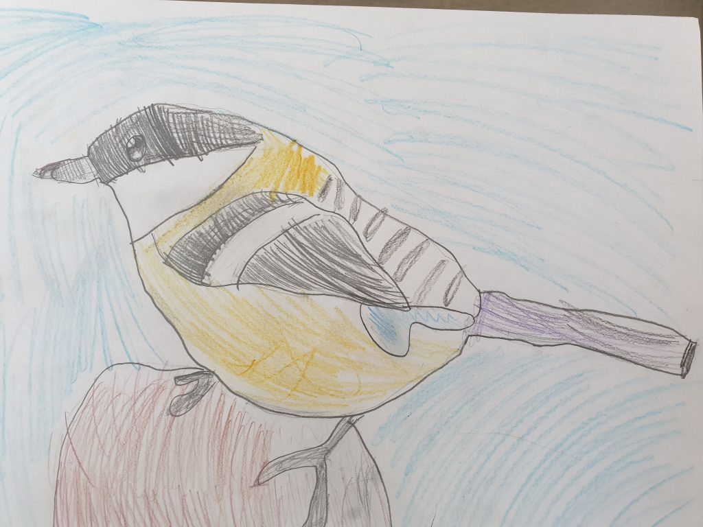 Lietuvos paukščiai by Gražina - Illustrated by 2a klasė - Ourboox.com