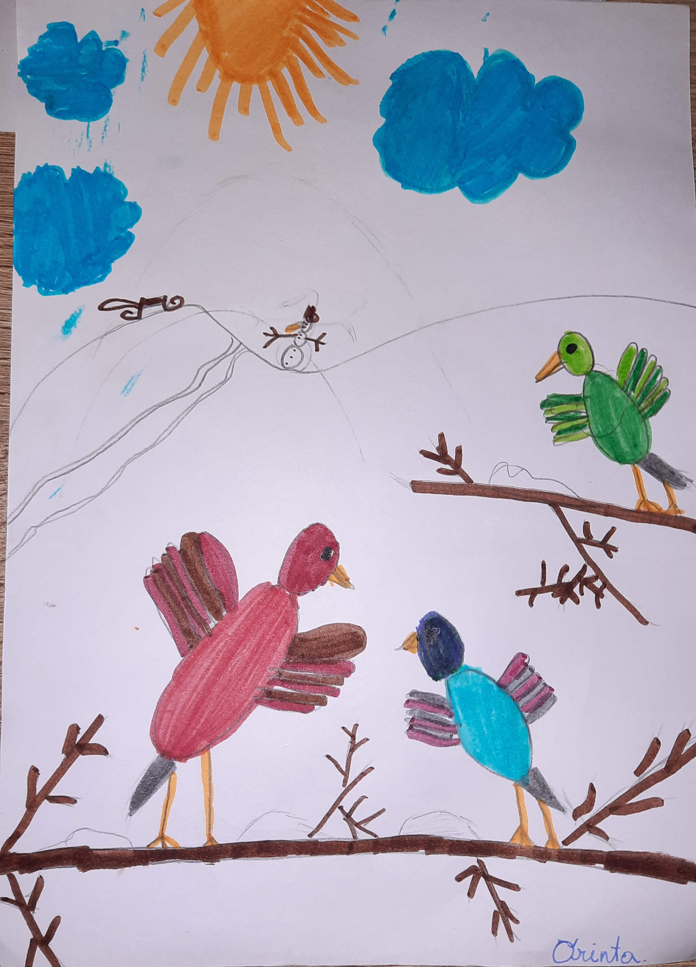 Lietuvos paukščiai by Gražina - Illustrated by 2a klasė - Ourboox.com