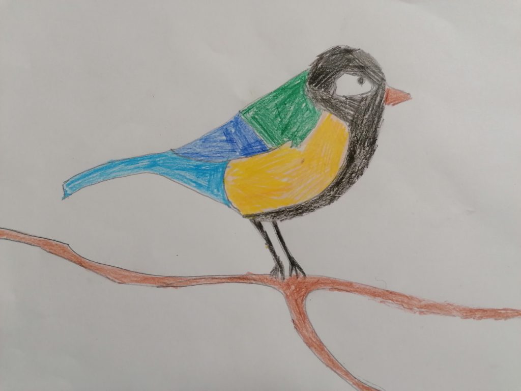 Lietuvos paukščiai by Gražina - Illustrated by 2a klasė - Ourboox.com