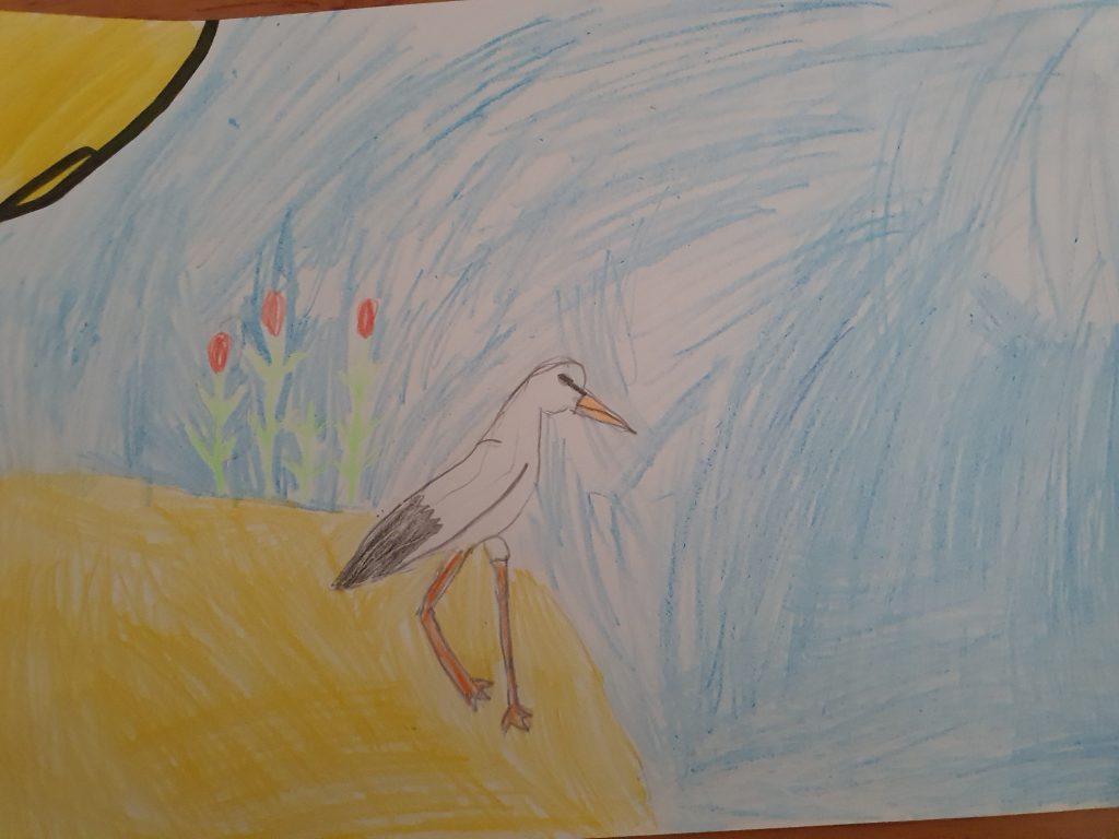 Lietuvos paukščiai by Gražina - Illustrated by 2a klasė - Ourboox.com