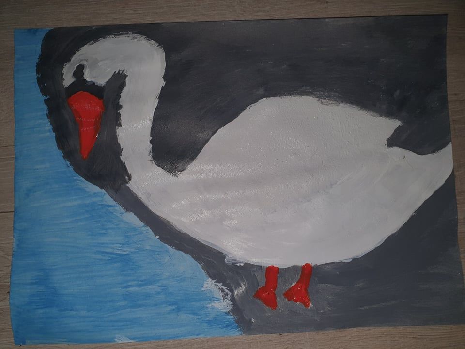 Lietuvos paukščiai by Gražina - Illustrated by 2a klasė - Ourboox.com