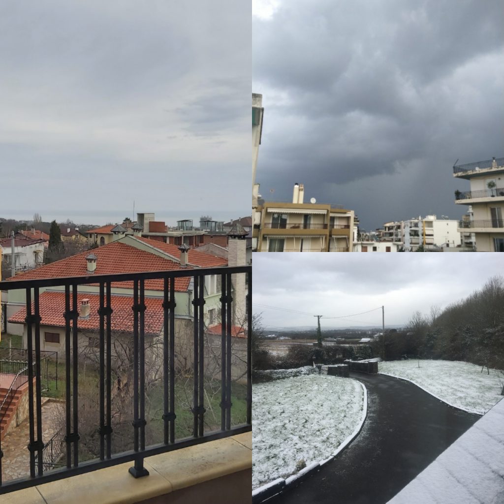 Erasmus Online by Artem - Ourboox.com