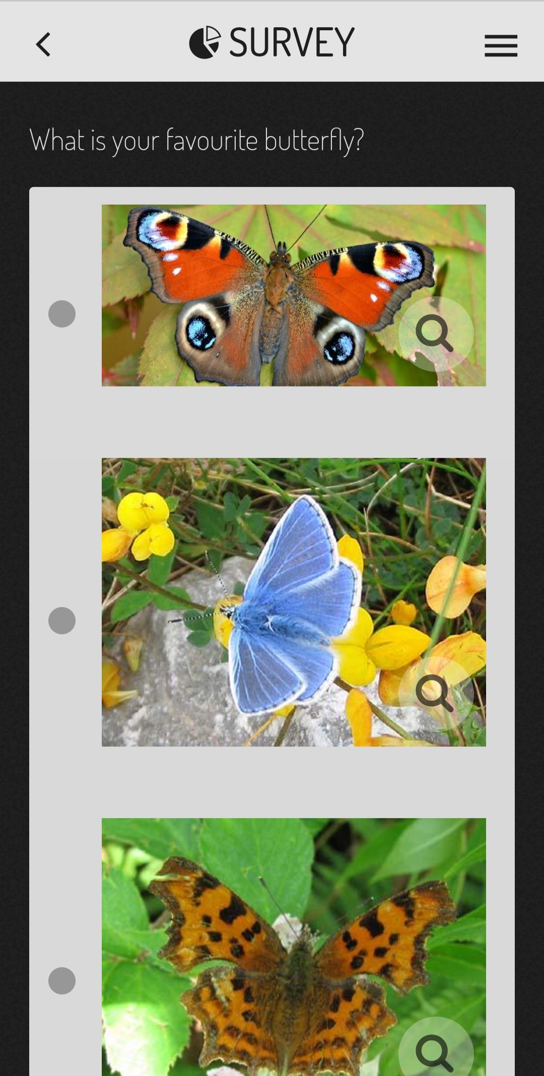 Erasmus Online by Artem - Ourboox.com
