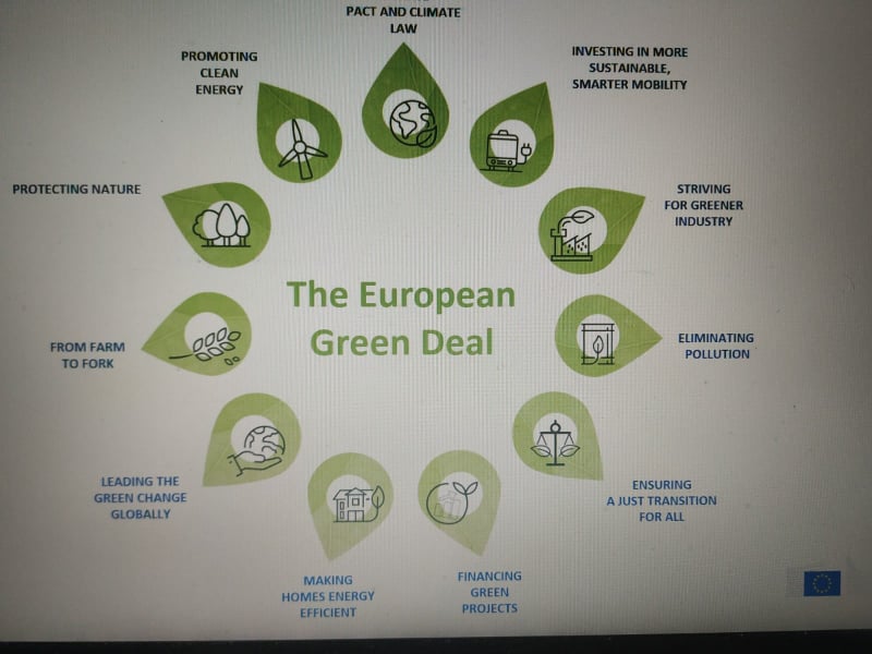 Erasmus Online by Artem - Ourboox.com