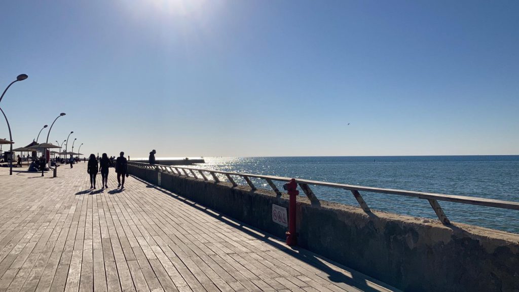 honors journal – Itay Leshem by Itay leshem - Ourboox.com