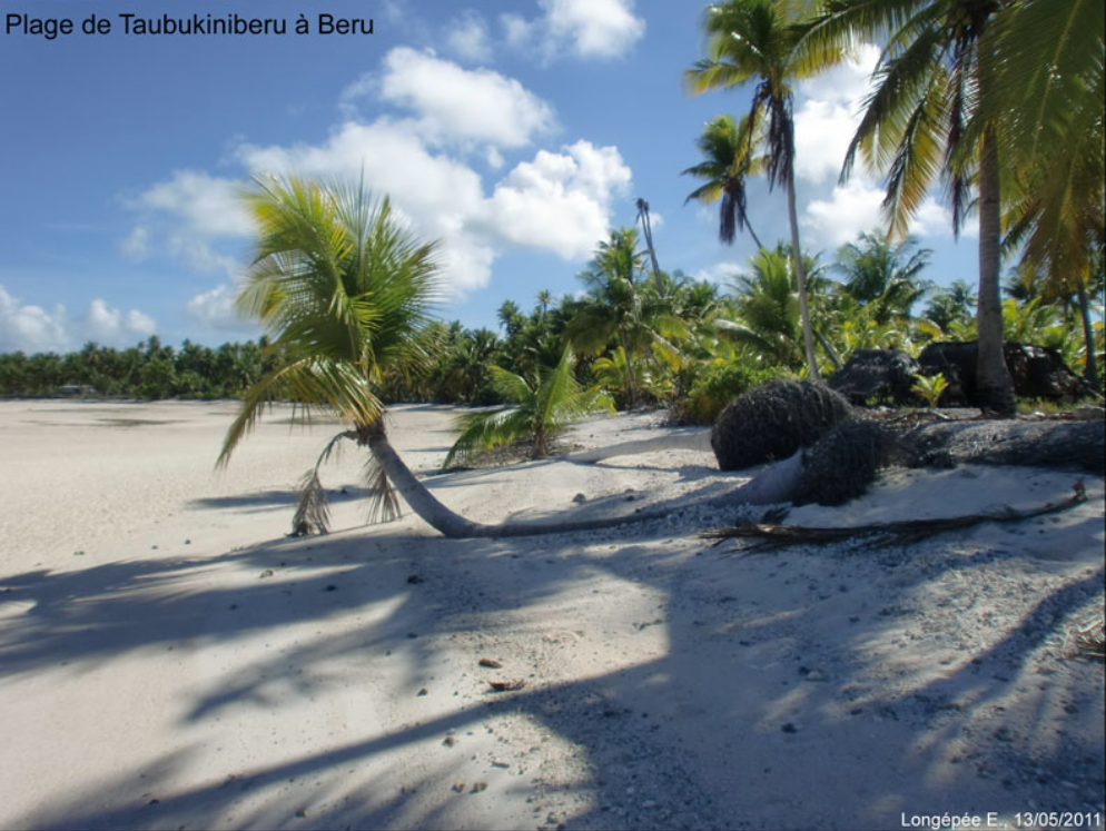 Le changement global by Elodie Leconte - Ourboox.com