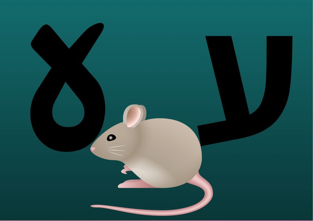 אותיות א-ב by mm - Illustrated by מרים מורשת - Ourboox.com