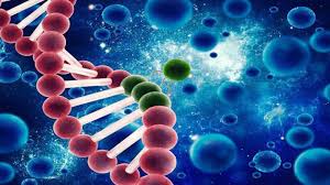 مشروع الخلية by mais - Illustrated by ميس ياسين,محمد عرابي,ملاك حمود - Ourboox.com