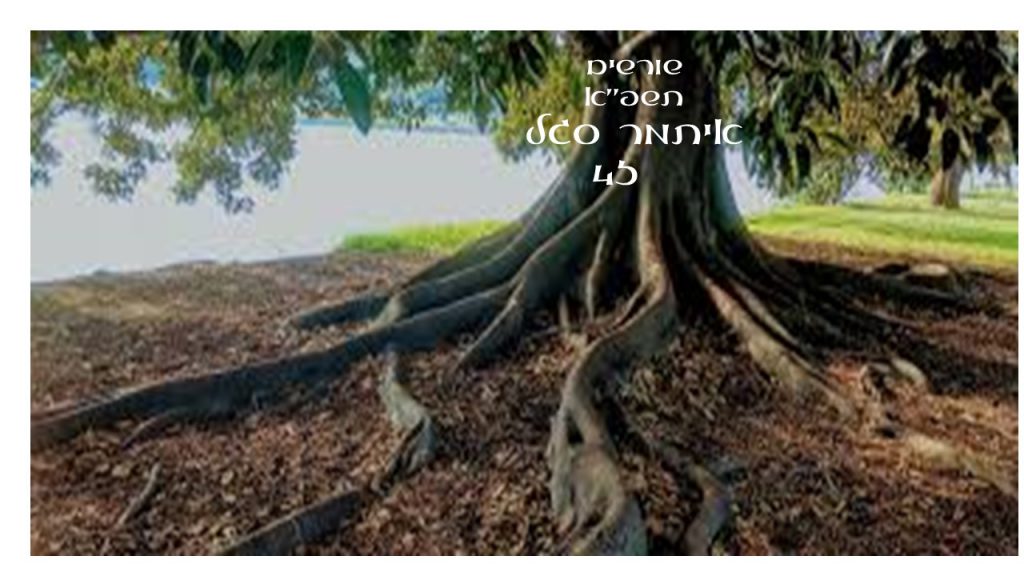 שורשים by itamar - Illustrated by איתמר סגל - Ourboox.com