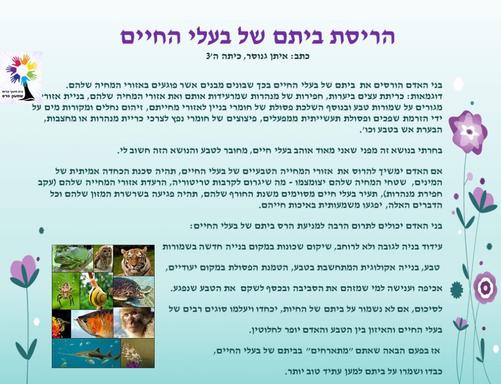 aa by נאוה שעיה - Ourboox.com