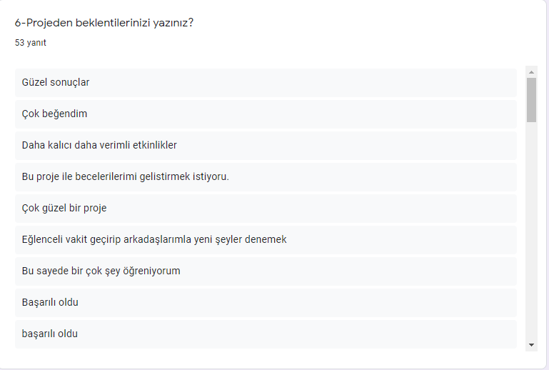 PROJE FİNAL ANKETİ ANALİZ RAPORU by betül aytekin - Ourboox.com