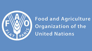 ONU by Monica Grilli - Illustrated by Monica Grilli - Ourboox.com