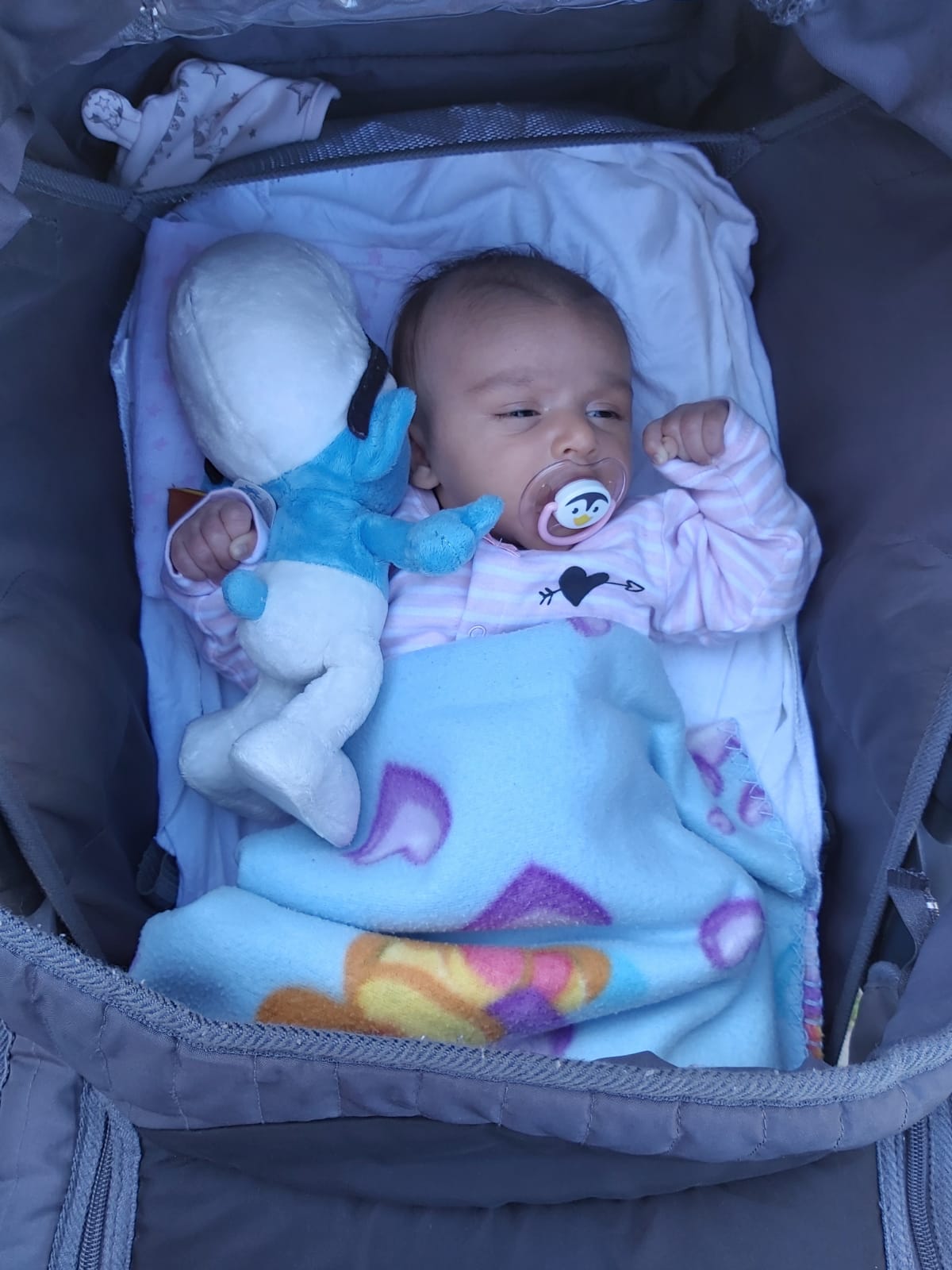 אלבום התמונות של שיר by sharon - Ourboox.com