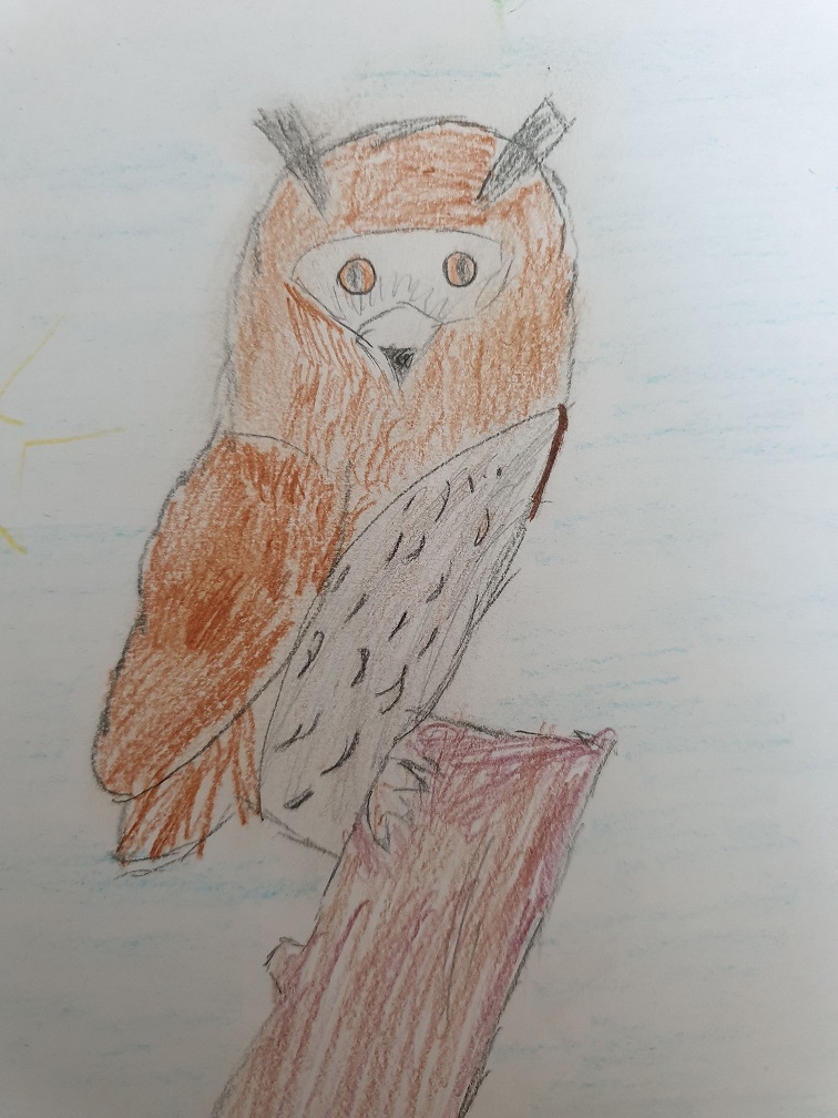 Lietuvos paukščiai by Gražina - Illustrated by 2a klasė - Ourboox.com