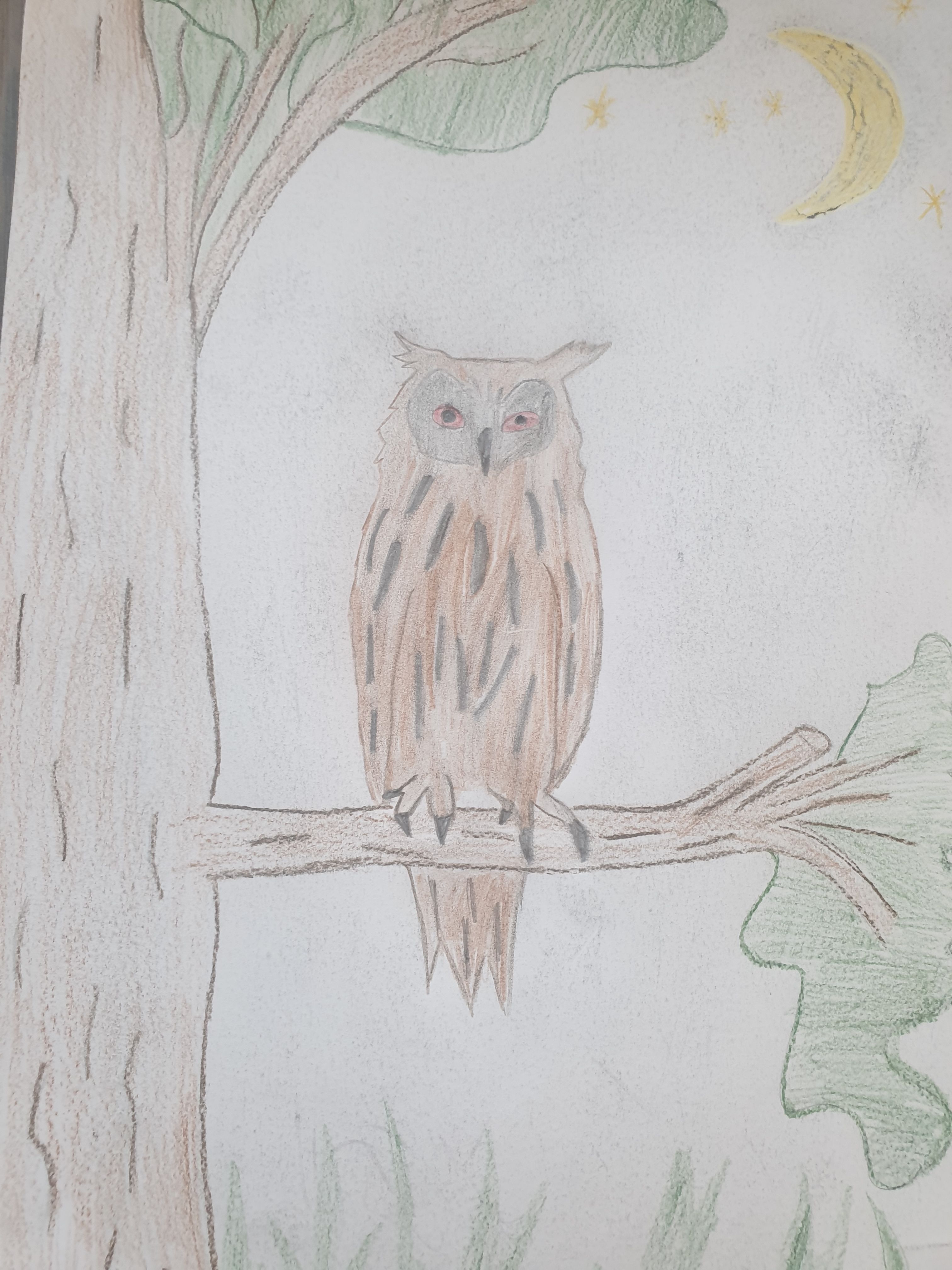 Lietuvos paukščiai by Gražina - Illustrated by 2a klasė - Ourboox.com