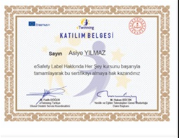 GÜVENLİ İNTERNET GÜNÜ AKTİVİTELERİ E BOOK by Ömür - Ourboox.com