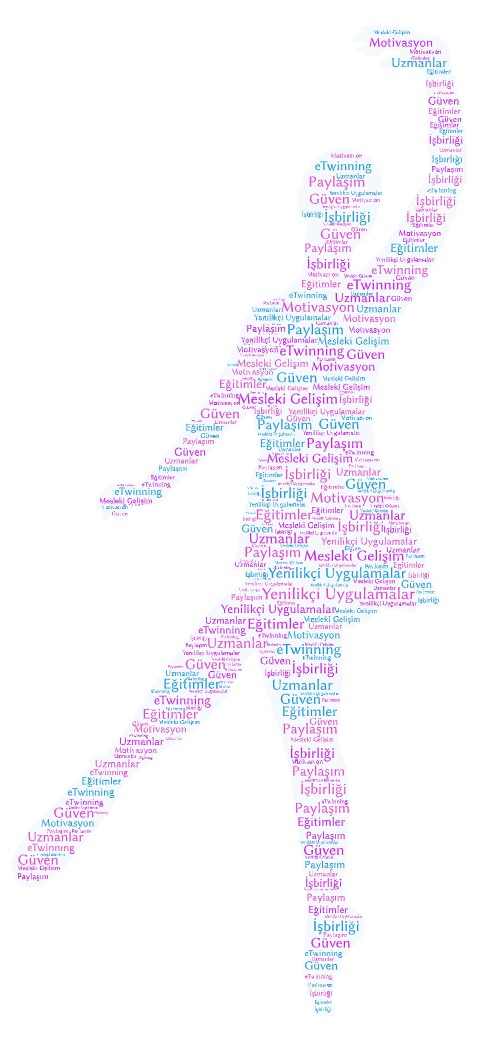 MESLEĞİME İLK ADIM PROJESİ ÖĞRETMEN DEĞERLENDİRME ANKETİ by Gülden Bağa Torun - Ourboox.com