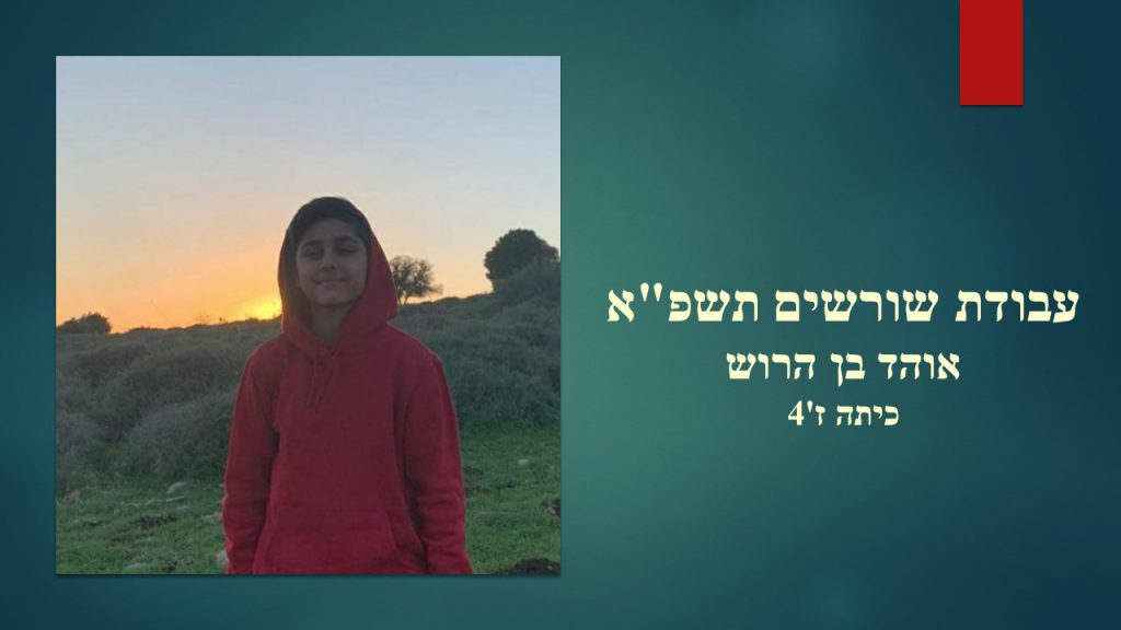 עבודת השורשים של אוהד בן הרוש by OHAD - Ourboox.com