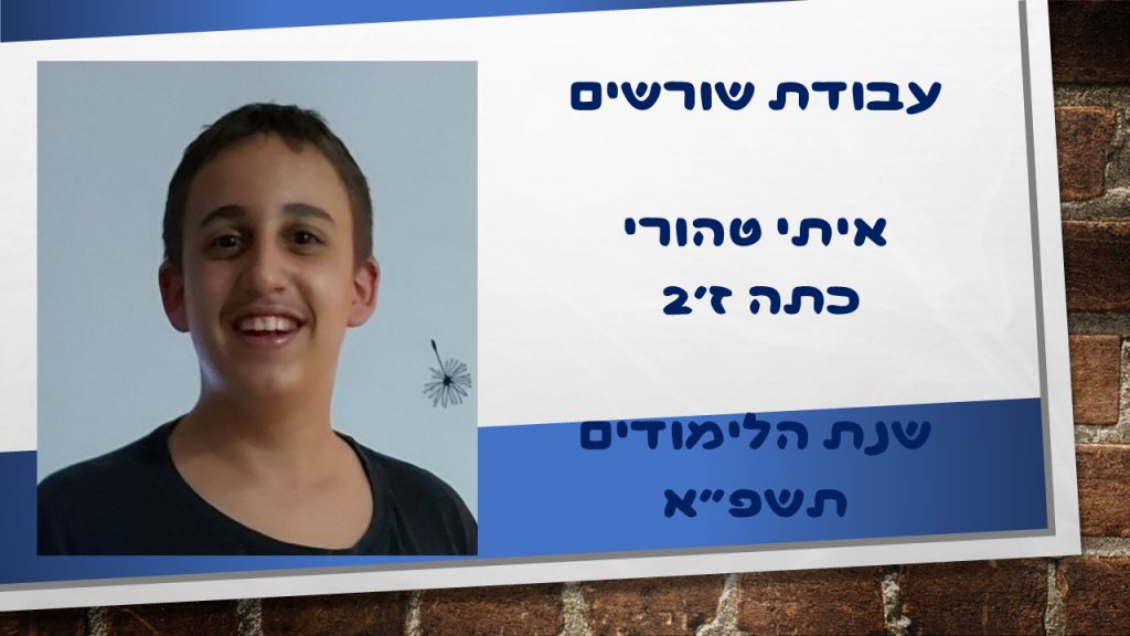 עבודת השורשים של איתי by ETAY - Ourboox.com