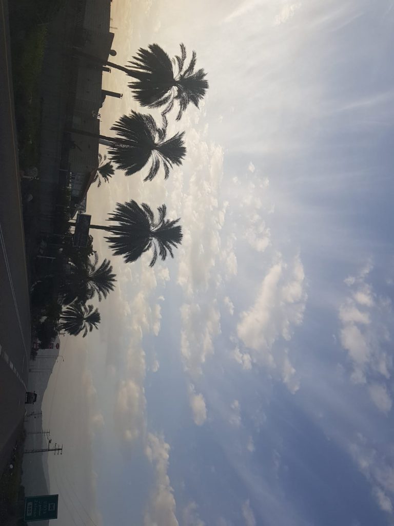 הסיפור של המשפחה שלי by liat yakir - Illustrated by נהוראי יקיר - Ourboox.com