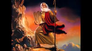 עבודת שורשים by YARDEN - Illustrated by אויראנה רגב - Ourboox.com