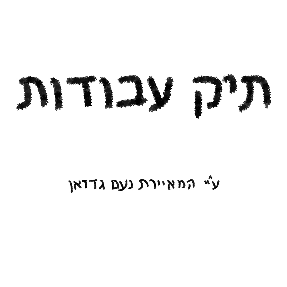 תיק עבודות|נעם גדזאן by noam gudgeon - Ourboox.com