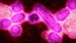 اخطر فيروسات في التاريخ. by Raghad Taya - Illustrated by رغد تايه - Ourboox.com