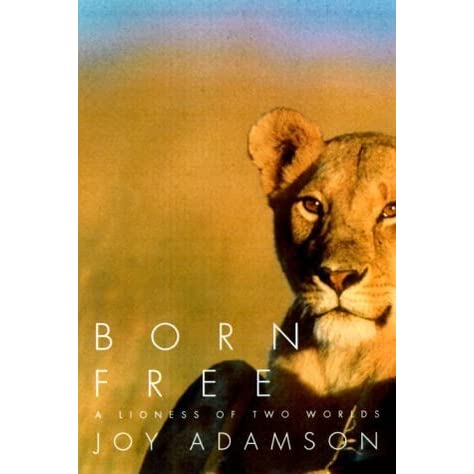 Born Free by Roaa - Illustrated by Roaa Zoabi - Ourboox.com