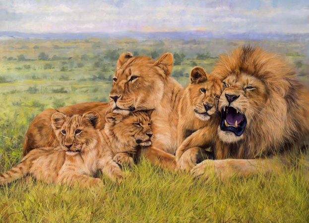 Born Free by Roaa - Illustrated by Roaa Zoabi - Ourboox.com